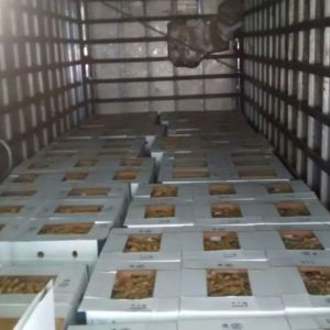 Servicio de Transporte