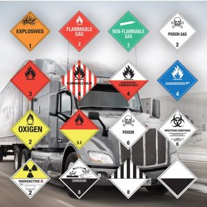 WhatsApp Image 2022-08-30 at 4.19.46 PM